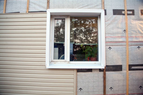 Best Hoarding Cleanup  in Edgewood, MD