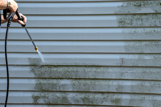 Best Yard Waste Removal  in Edgewood, MD